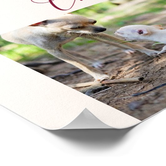 Chihuahua Poster Voeg je eigen Chihuahua toe (Hoek)