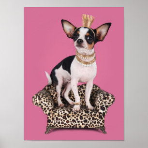 Chihuahua Princess Poster