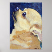 Chihuahua Print (Voorkant)