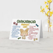 Chihuahua Property Laws 4 Kaart (Gele Bloem)