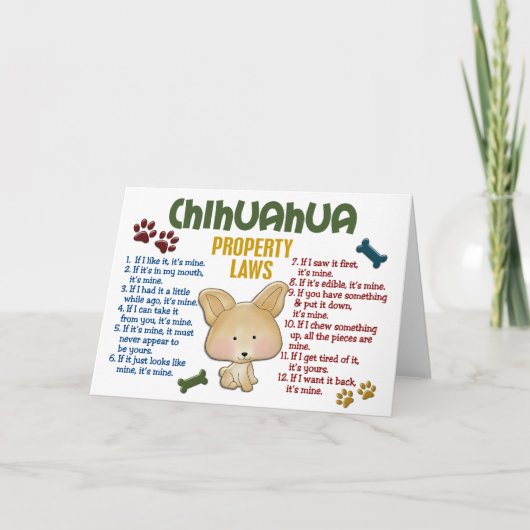 Chihuahua Property Laws 4 Kaart (Voorkant)