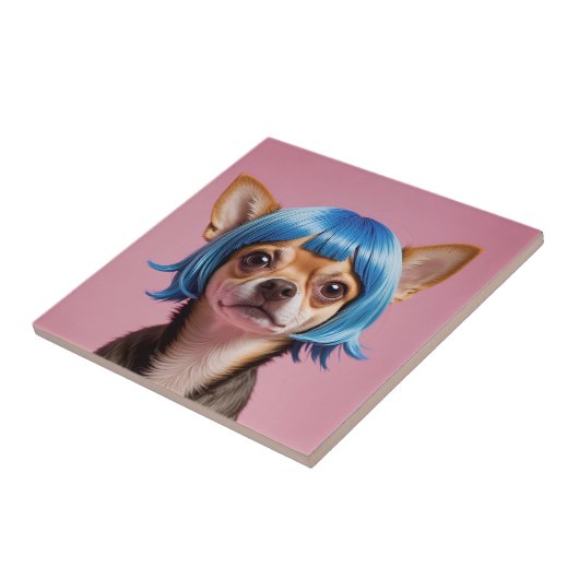 Chihuahua pruik tegeltje (Zijkant)
