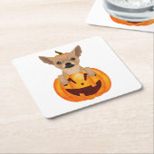 Chihuahua Pumpkin Kartonnen Onderzetters (Schuin)