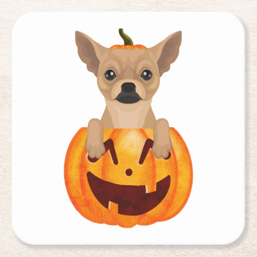Chihuahua Pumpkin Kartonnen Onderzetters (Voorkant)