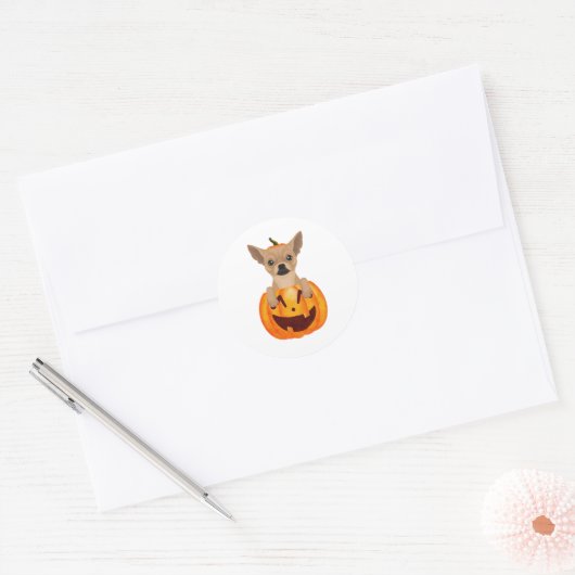 Chihuahua Pumpkin Ronde Sticker (Envelop)