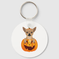 Chihuahua Pumpkin