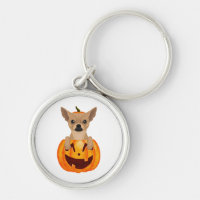 Chihuahua Pumpkin