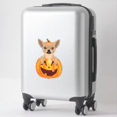 Chihuahua Pumpkin Sticker (Koffer)