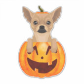 Chihuahua Pumpkin Sticker (Voorkant)