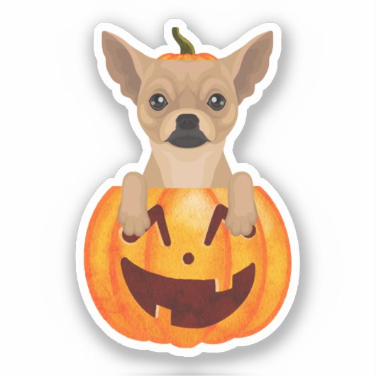 Chihuahua Pumpkin Sticker (Voorkant)