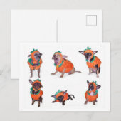 Chihuahua Pumpkins Briefkaart (Voorkant / Achterkant)