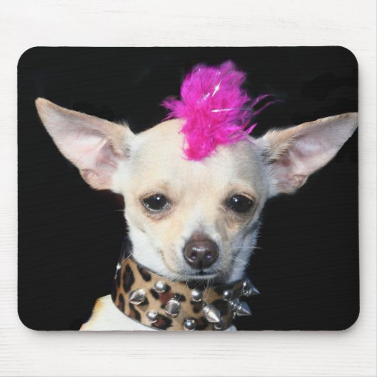 Chihuahua Punk mousepad Muismat (Voorkant)