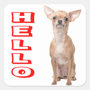 Chihuahua Puppie Hond Rood Hallo Vierkante Sticker