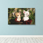 Chihuahua Puppies Canvas Afdruk (Insitu (Houten vloer))