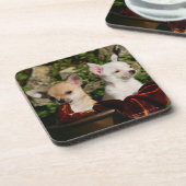 Chihuahua Puppies Drankjes Onderzetter (Linkerzijde)