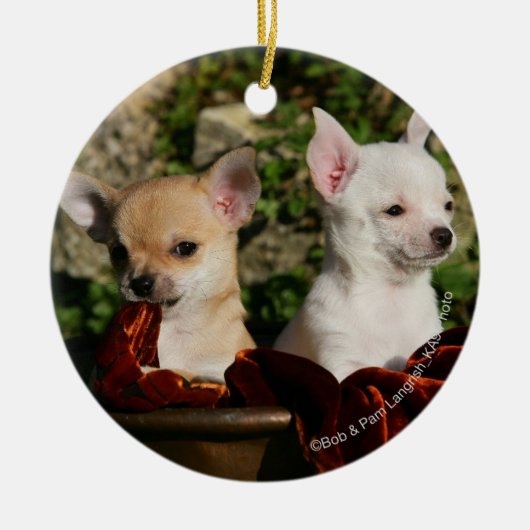 Chihuahua Puppies Keramisch Ornament (Voorkant)