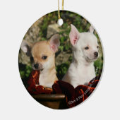 Chihuahua Puppies Keramisch Ornament (Links)