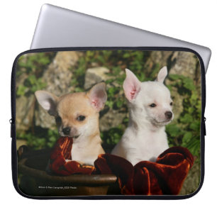 Chihuahua Puppies Laptop Sleeve