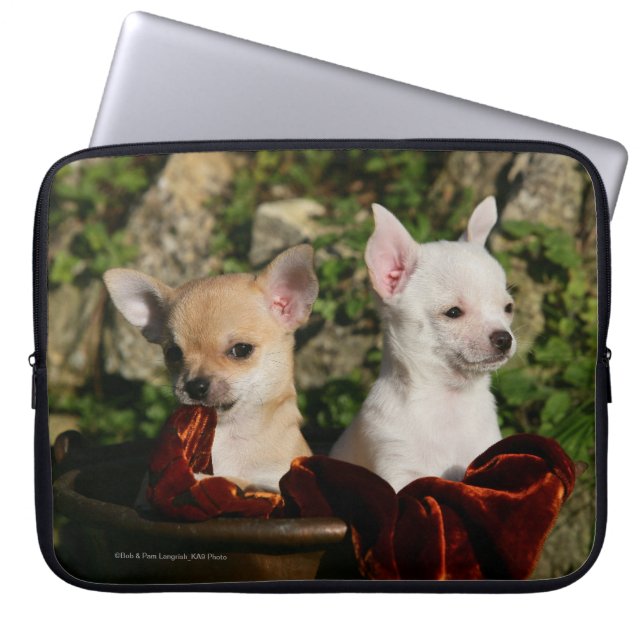 Chihuahua Puppies Laptop Sleeve (Voorkant)