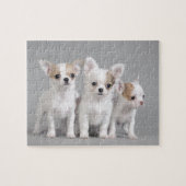 Chihuahua puppies legpuzzel (Horizontaal)