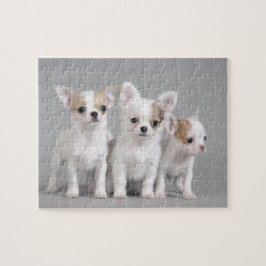 Chihuahua puppies legpuzzel