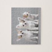 Chihuahua puppies legpuzzel (Verticaal)