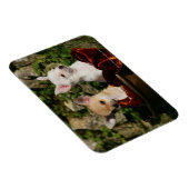 Chihuahua Puppies Magneet (Rechterzijde)