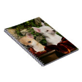 Chihuahua Puppies Notitieboek (Rechterzijde)