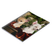 Chihuahua Puppies Notitieboek (Linkerzijde)