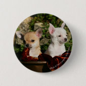 Chihuahua Puppies Ronde Button 5,7 Cm (Voorkant)