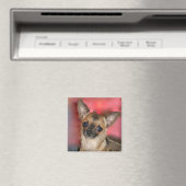 Chihuahua puppy blanco magneet (Insitu (Vaatwasser))