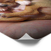 Chihuahua Puppy Blessing Poster (Hoek)
