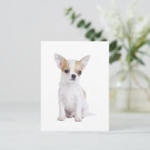 Chihuahua puppy briefkaart (Staand voorkant)