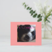 Chihuahua Puppy Briefkaart (Staand voorkant)