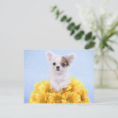 Chihuahua puppy briefkaart (Staand voorkant)