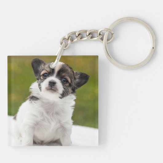 Chihuahua Puppy Cute Photo Sleutelhanger (Achterkant)