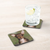 Chihuahua Puppy die naar camera kijkt Drankjes Onderzetter (Rechterzijde)