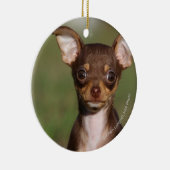 Chihuahua Puppy die naar camera kijkt Keramisch Ornament (Rechts)
