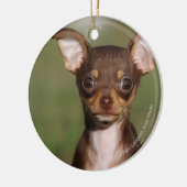 Chihuahua Puppy die naar camera kijkt Keramisch Ornament (Links)