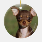 Chihuahua Puppy die naar camera kijkt Keramisch Ornament (Achterkant)