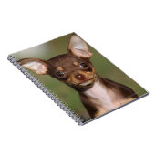 Chihuahua Puppy die naar camera kijkt Notitieboek (Rechterzijde)