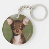Chihuahua Puppy die naar camera kijkt Sleutelhanger (Achterkant)
