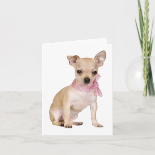Chihuahua Puppy Dog Blank Note of Wenskaart Kaart (Voorkant)