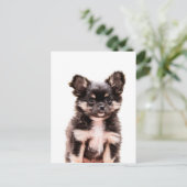 Chihuahua Puppy Dog Briefkaart (Staand voorkant)