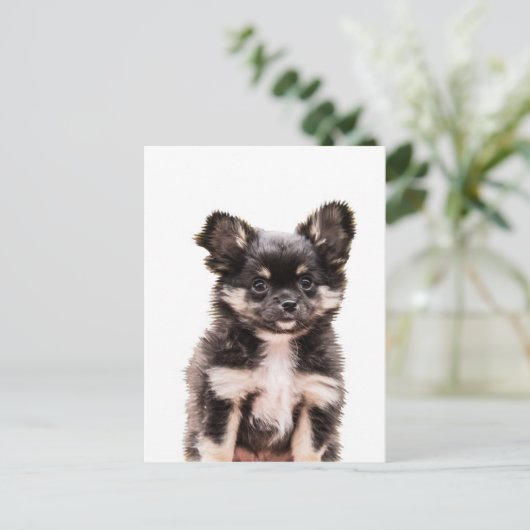 Chihuahua Puppy Dog Briefkaart (Staand voorkant)