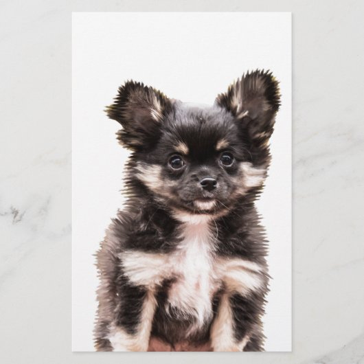 Chihuahua Puppy Dog Briefpapier (Voorkant)