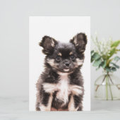 Chihuahua Puppy Dog Briefpapier (Staand voorkant)