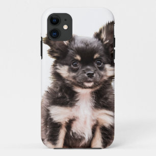 Chihuahua Puppy Dog Case-Mate iPhone Case