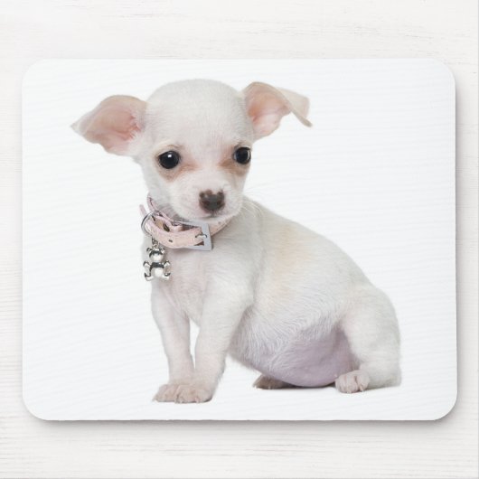 Chihuahua Puppy Dog Computer Mousepad Muismat (Voorkant)
