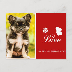 Chihuahua Puppy Dog Happy Valentijnsdag briefkaart